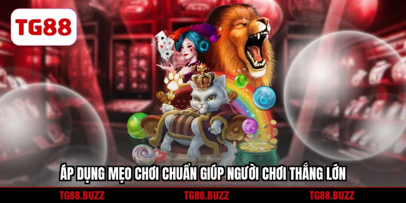 Áp dụng mẹo chơi chuẩn giúp người chơi thắng lớn