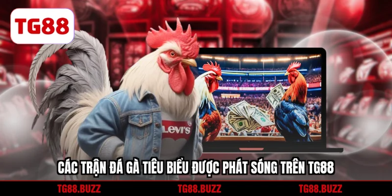 Các trận đá gà tiêu biểu được phát sóng trên TG88