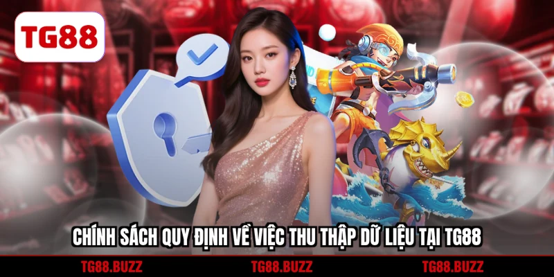 Chính sách quy định về việc thu thập dữ liệu
