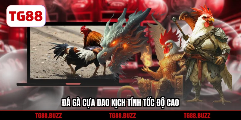 Đá gà cựa dao kịch tính tốc độ cao