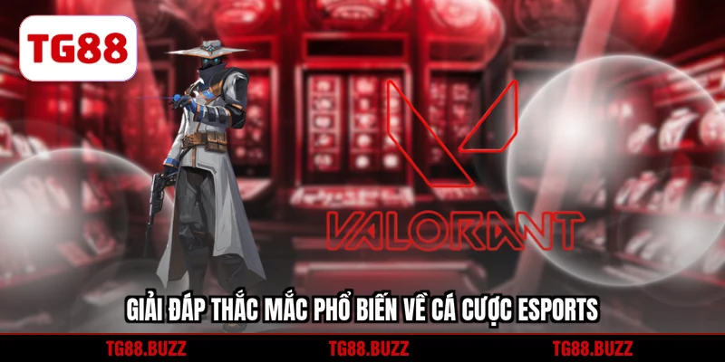 Giải đáp thắc mắc phổ biến về cá cược eSports