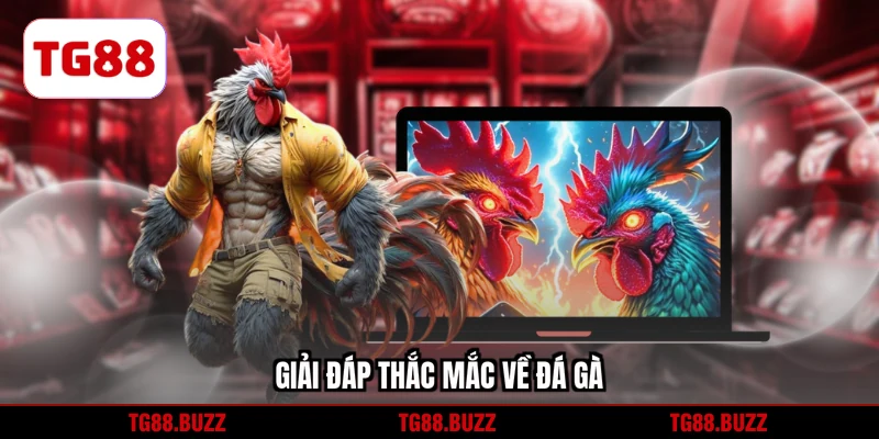 Giải đáp thắc mắc về đấu kêu cho hội viên