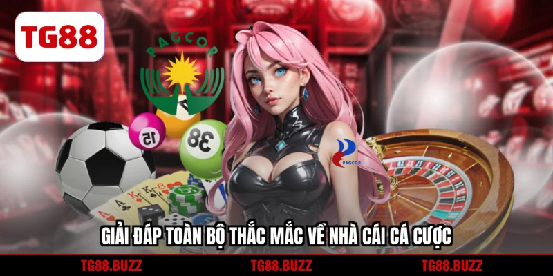 Giải đáp toàn bộ thắc mắc về nhà cái cá cược