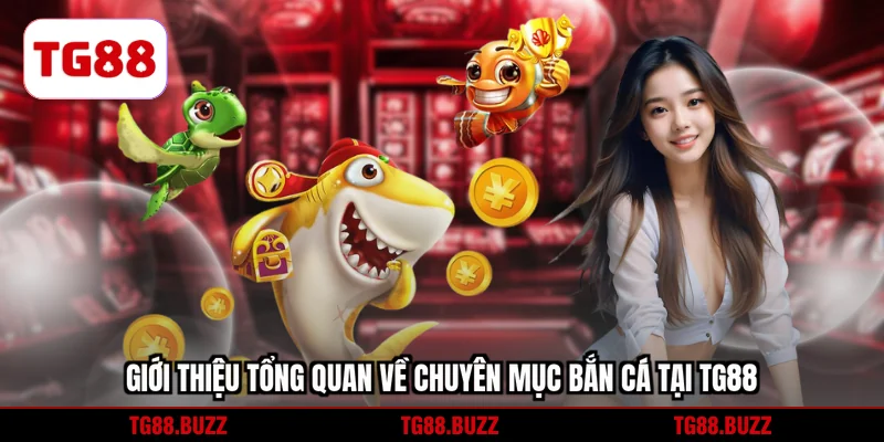 Giới thiệu tổng quan về chuyên mục cực hot