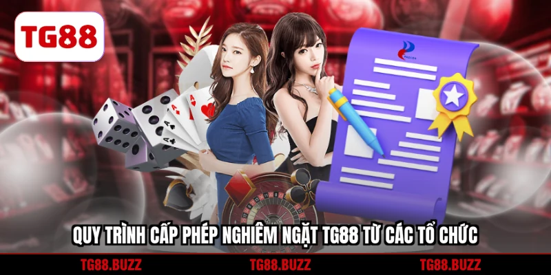 Quy trình cấp phép nghiêm ngặt TG88 từ các tổ chức