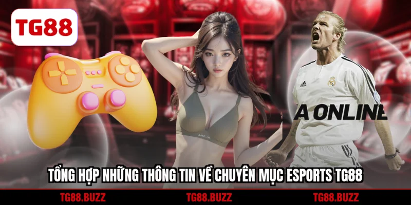 Tổng hợp những thông tin về chuyên mục Esports TG88