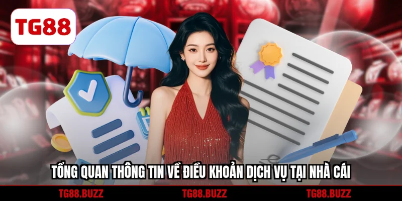 Tổng quan thông tin về điều khoản dịch vụ tại nhà cái